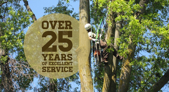 Lincoln Tree Service — over 25 years of service